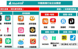 娱乐直播电商,娱乐直播电商的崛起与变革
