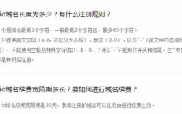 io域名注册,优势、流程与选择指南