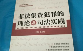 非法集资司法解释,定罪量刑标准与法律适用