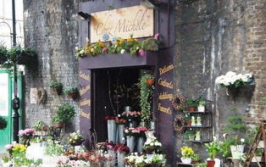 装扮鲜花店,打造梦幻装扮鲜花店之旅