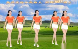 大葱舞,传统民俗与现代韵律的完美融合