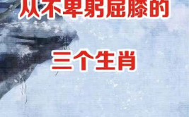 卑躬屈膝的生肖,卑躬屈膝的象征与传统文化解读”