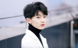 娱乐吃瓜酱马嘉祺,从综艺新星到谐音梗达人，娱乐圈的多面手