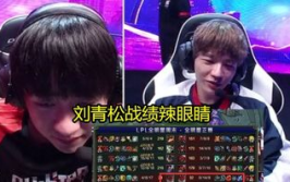 刘青松娱乐赛,电竞与娱乐的完美融合