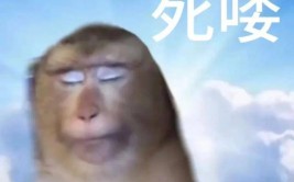 25年国考近800个岗位要求雅思成绩！雅思成为公入场券？国考职位表2014