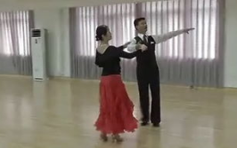 交谊舞视频,从入门到精通的舞蹈艺术之旅