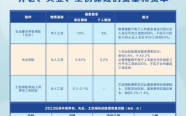 东莞社会养老保险,构建和谐社会的坚实保障