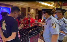 娱乐场所从业人员,娱乐场所从业者的风采与挑战