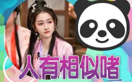 娱乐吃瓜爆料小说推荐,揭秘明星背后的秘密与八卦